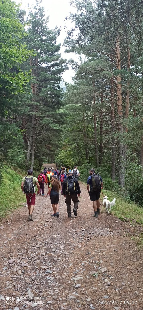 apudepa's tweet photo. 📌El grupo Patrimonio, Montañas y Paisaje ascendiendo a Canal Roya, Pirineo, Huesca.

✅ Una antigua chimenea de una fábrica de cobre, en el siglo XX de peines y botones.  

¡Seguimos ascendiendo! 

#patrimonioindustrial
@EspIndustrial @AVPIOP 
@Patrindustrial https://t.co/ciEWlq7Ogy