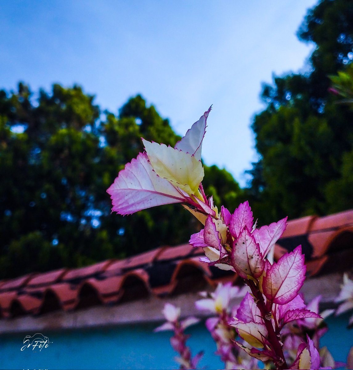 jcrguacara's tweet image. Mientras adornas el #infinito sigo #aqui #luchando por #amor 

@jcrguacara 

#VenezuelaEsUnica #vnzla #Fotos #fotografia #photography #photo #FYP #sigueme