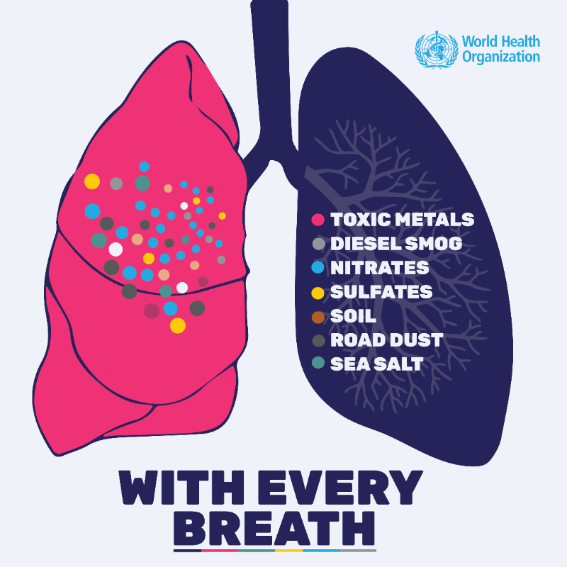 WHO's tweet photo. 99% of the world’s population is now breathing polluted air.  

#AirPollution kills around 7⃣ million people each year across the 🌎🌍🌏

90% of those affected live in low- &amp; middle-income countries https://t.co/v0iJ91YSXq  

#UNGA78 https://t.co/hruntVck0O