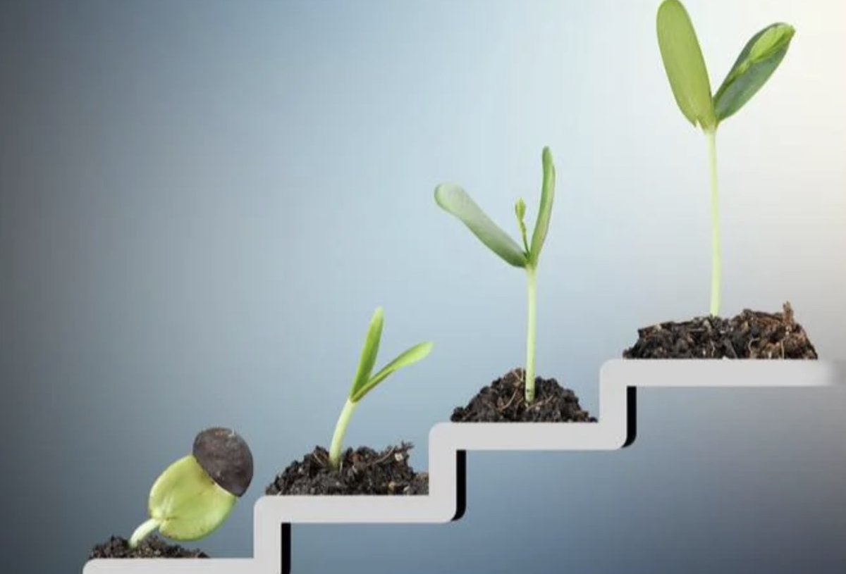 The 3 tests of a successful leader...but how do measure up?
Read our latest leadership blog and share with others
enhancinglearning.co.uk/post/three-tes…