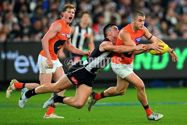 PiesNation tweet media