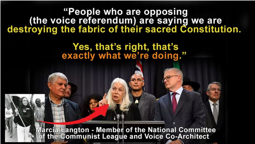 Ocarina Jones 🇮🇱 🐝 tweet media