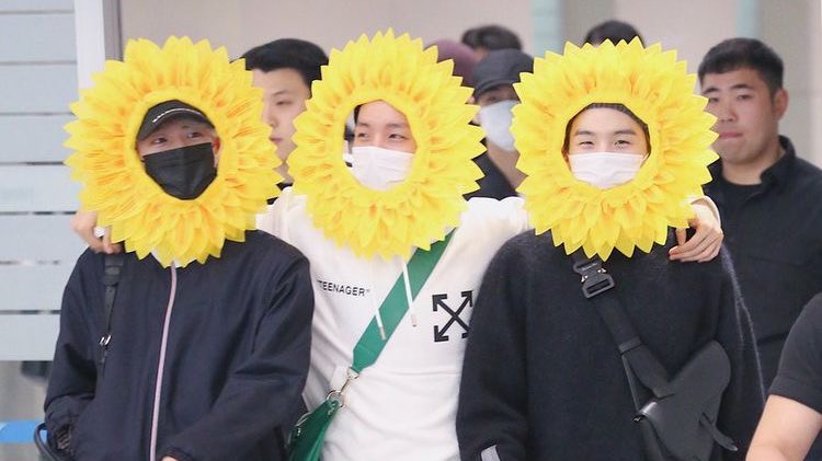 Nuestros tres girasoles se volverán a encontrar 😭❤️‍🩹