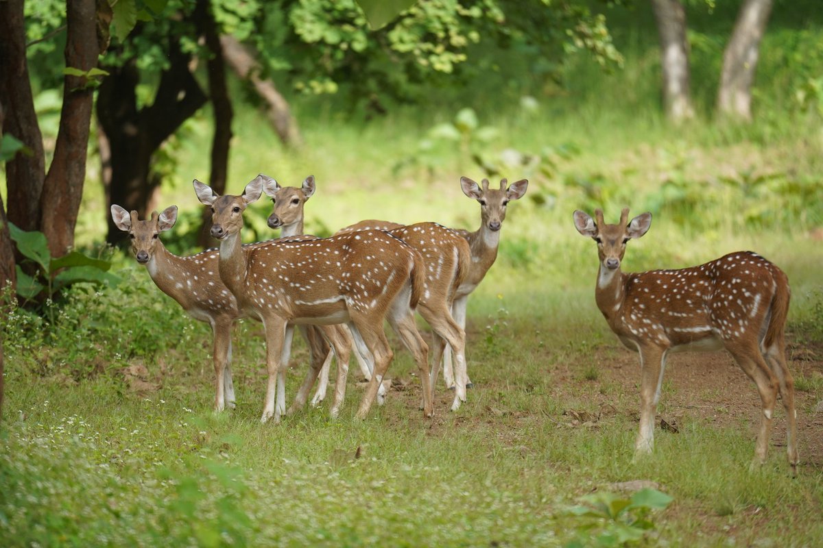 prashant Tomar tweet media