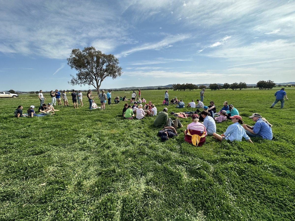 Perfect weather for Field walk Friday! Big thanks to @FMCentre @MathewDunn19 for hosting @CharlesSturtUni 1st year Ag students to learn about grazing management and crop sequencing fundamentals! 🌱☘️🐑🐂🫛🌼🌾