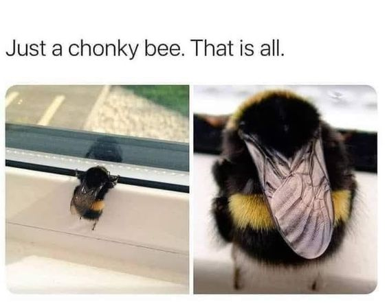 WholesomeMeme's tweet photo. https://t.co/uxTQt2TYBC