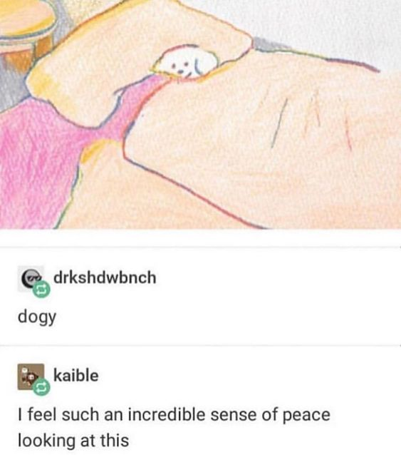 WholesomeMemes (@wholesomememe) on Twitter photo 