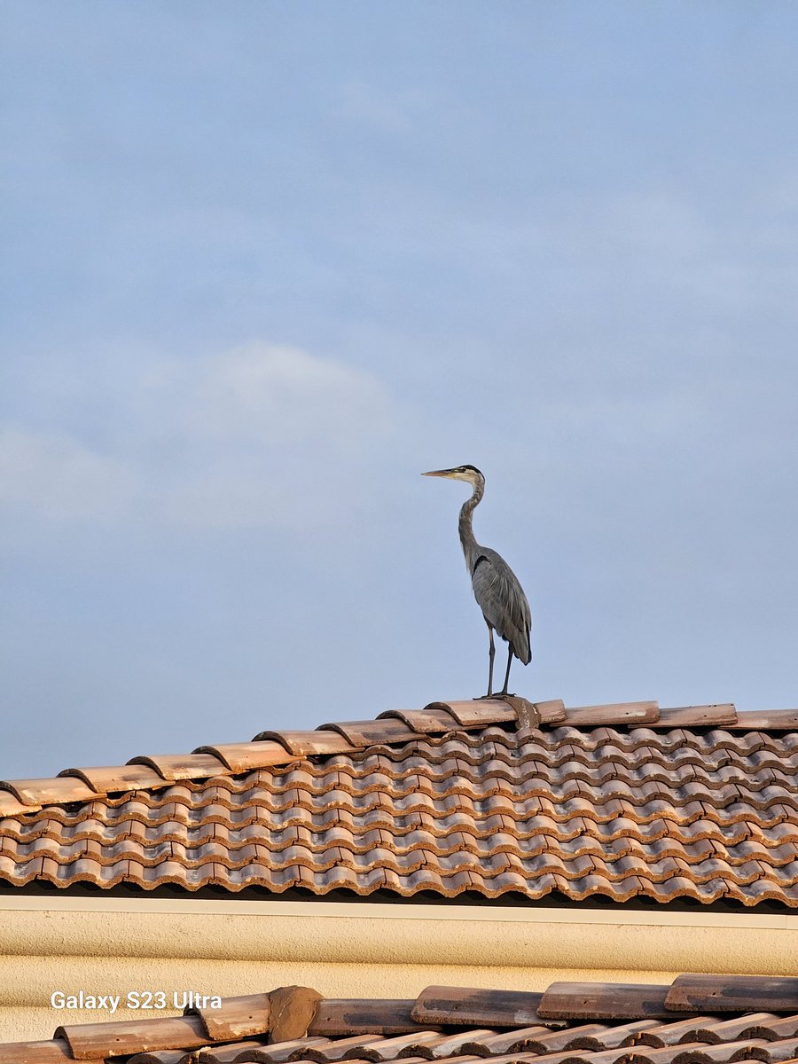 sareddymd (@sareddymd) on Twitter photo 