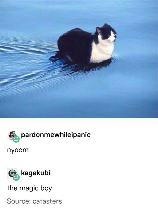 WholesomeMeme's tweet photo. https://t.co/2ND8AZdT6q