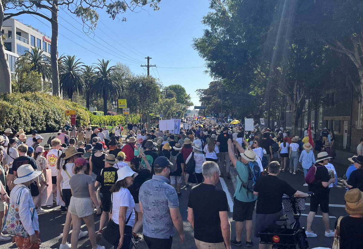 Sally McManus tweet media