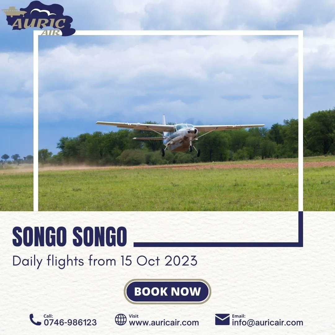 Fly daily to #SongoSongo with @Auricair
•
•
•
• 
•
•
•
• 
#Tanzania #SongoSongo #Fanjove #FanjoveIsland #PrivateIsland #TanzaniaUnforgettable #BushToBeach