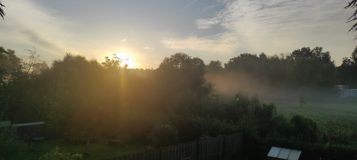 JorgAltmeyer's tweet photo. Gu Morje und einen schönen Sonntag https://t.co/oiJpSG1odE