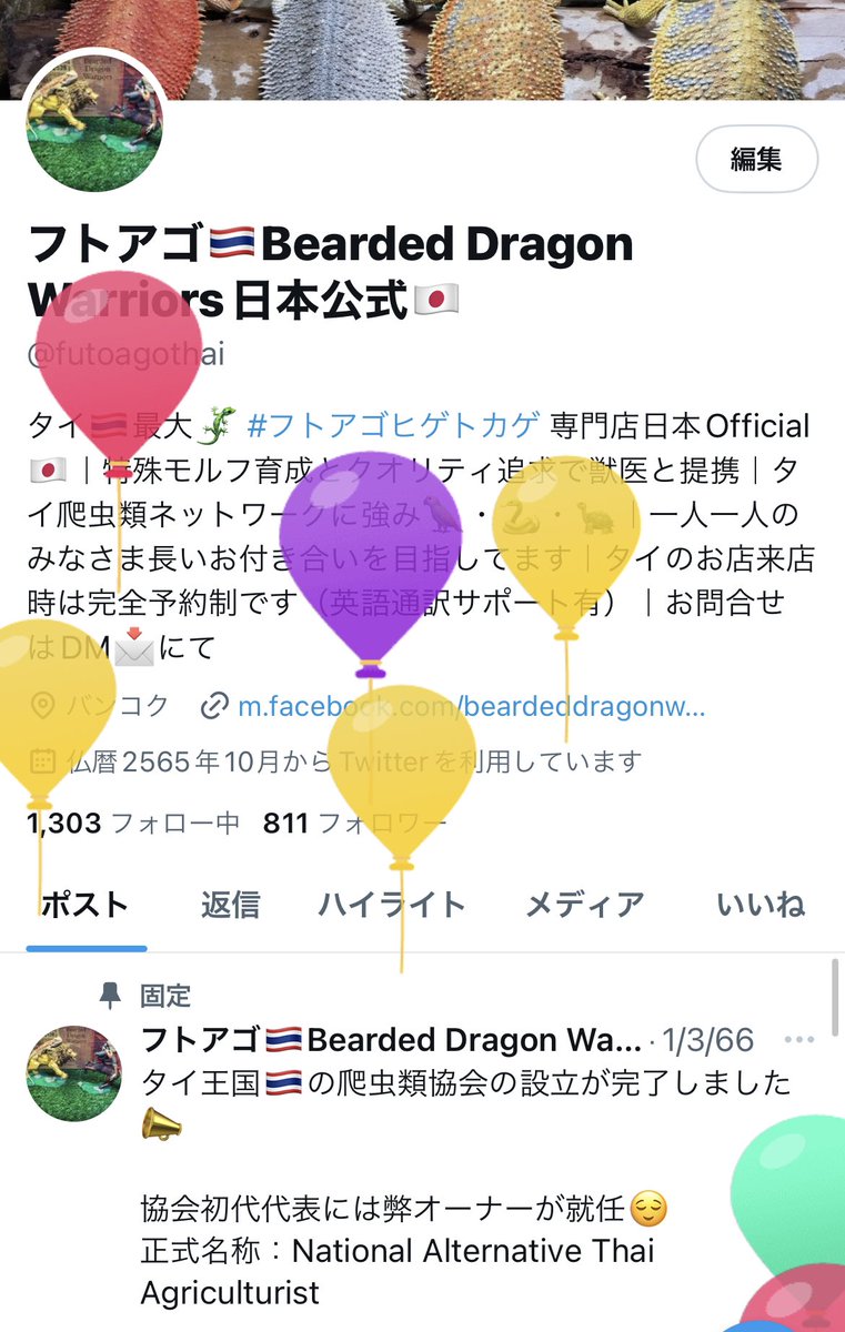 futoagothai's tweet photo. 飛んでました🎈

これからも少しずつ丁寧にやっていきます😌

#フトアゴ #フトアゴヒゲトカゲ #爬虫類好きと繋がりたい #BeardedDragon #BDW https://t.co/sGh9sIEN9L