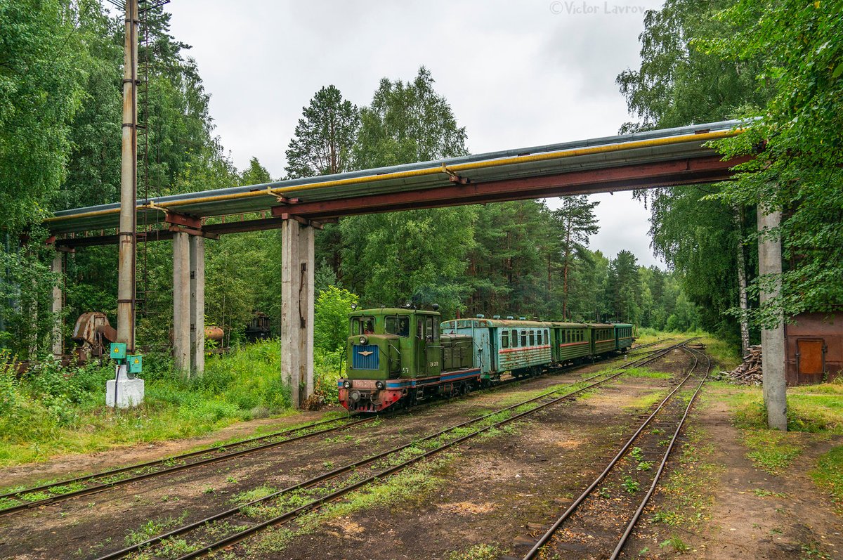 NGR_RU's tweet photo. Тепловоз ТУ4-2170 с рабочим поездом на ст.Центральный Посёлок, УЖД Пищальского т/пр, Кировская обл, 2020. Diesel locomotive TU4-2170 with a work train at the Tsentral'nyy Poselok station, Pishchalskoye peat narrow-gauge railway in Kirov Oblast, 2020. Photo: Victor Lavrov #УЖД https://t.co/3GVqCC6kOd