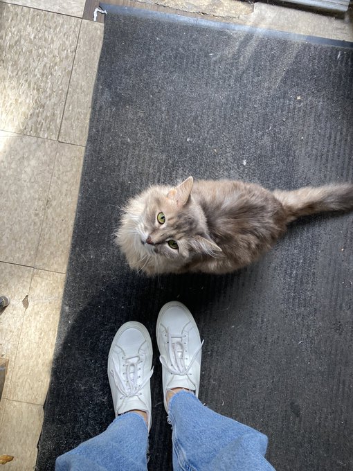 i love flea markets and cats https://t.co/51lQizAJwV