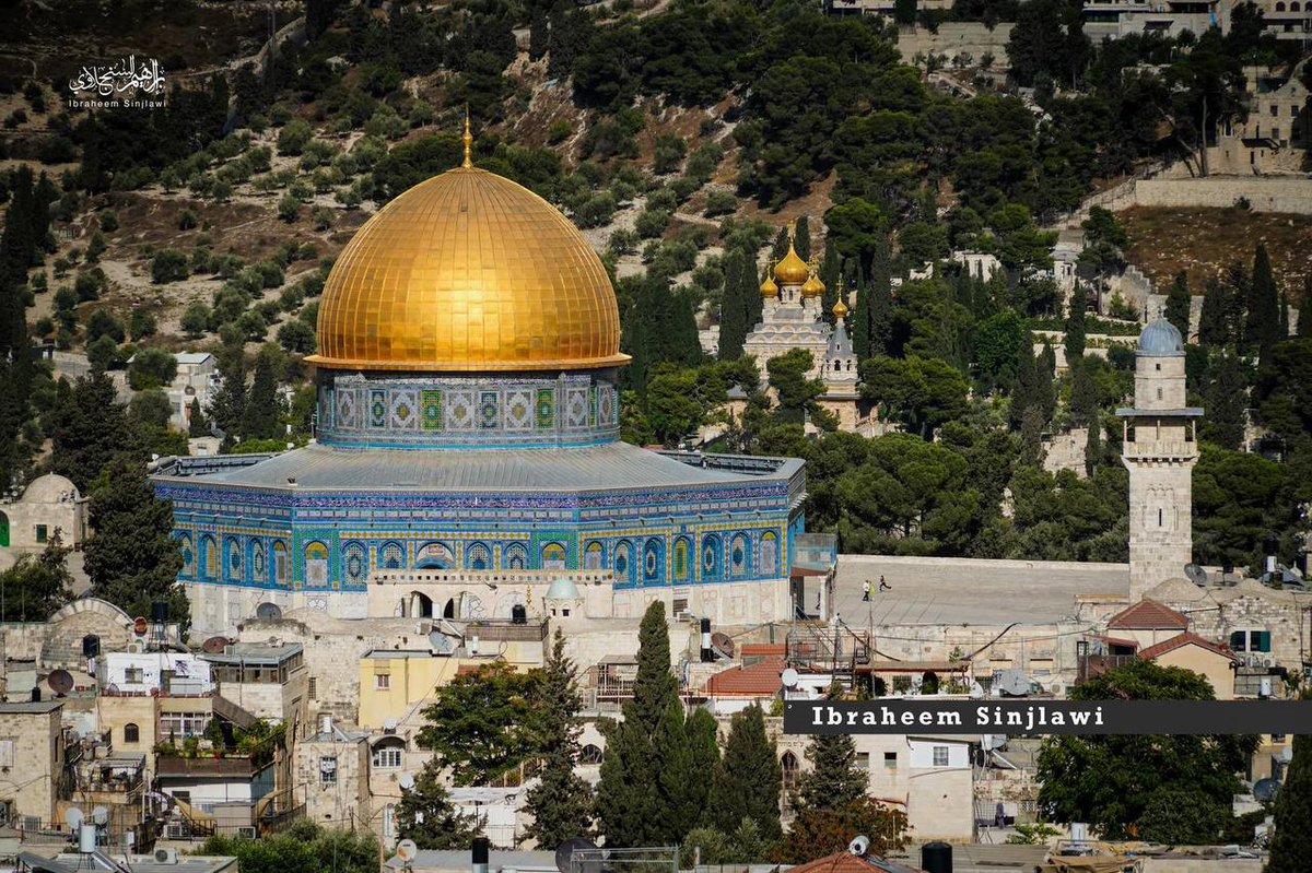 moh35s's tweet photo. #صباح_الخير

وأجمل منكِ لم ترَ عيني قطّ 🇵🇸❤️ https://t.co/skvIYNrSyu