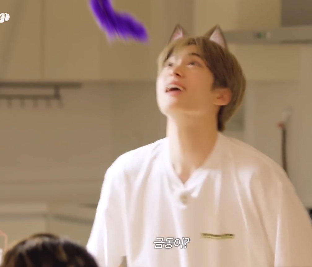 น้องแมวเขาเล่นทั้งวันเลยค่ะ ชอบมาก