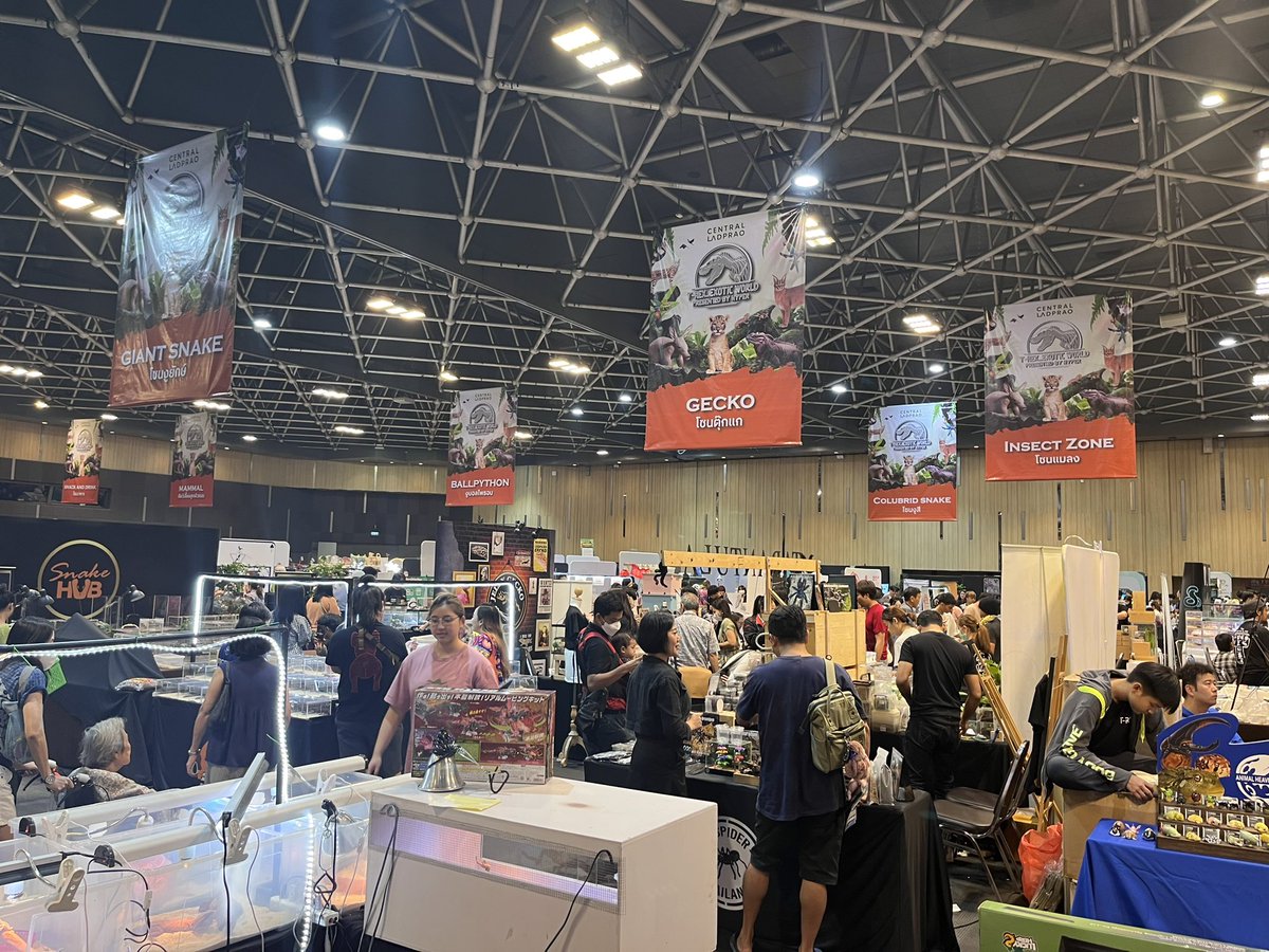 futoagothai's tweet photo. 今日がT-REX🦖最終日

世界初？アジア初？爬虫類用のCBD製品が生まれました👀

試験をしてフトアゴに効果があり？！🫣

開発企業は@DrCBD_JP

詳細を知りたい方には資料もらってきます🙏

#ペットCBD #爬虫類好き #フトアゴ https://t.co/ef02D9wFrZ