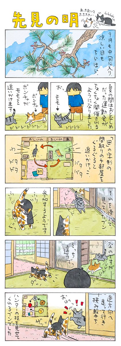 技の初秋│フェリシモ猫部 https://t.co/qIgGFXqUy5 