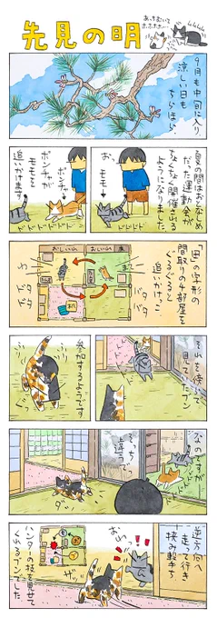 技の初秋│フェリシモ猫部 https://t.co/qIgGFXqUy5 