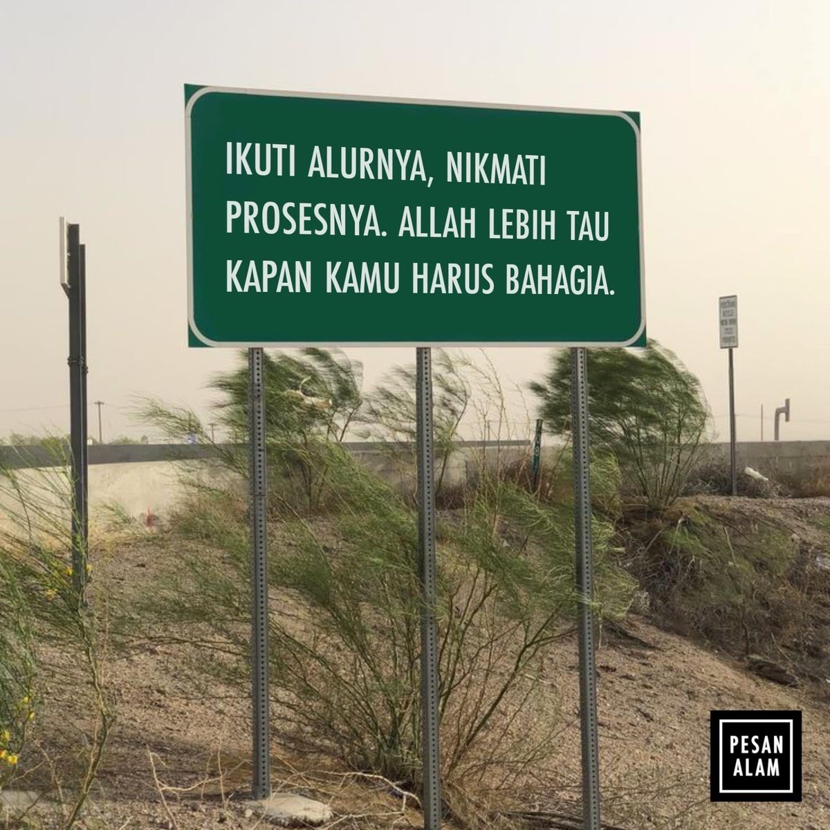 Pesan Alam tweet media