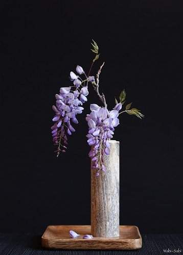 Cam2Beauv tweet media