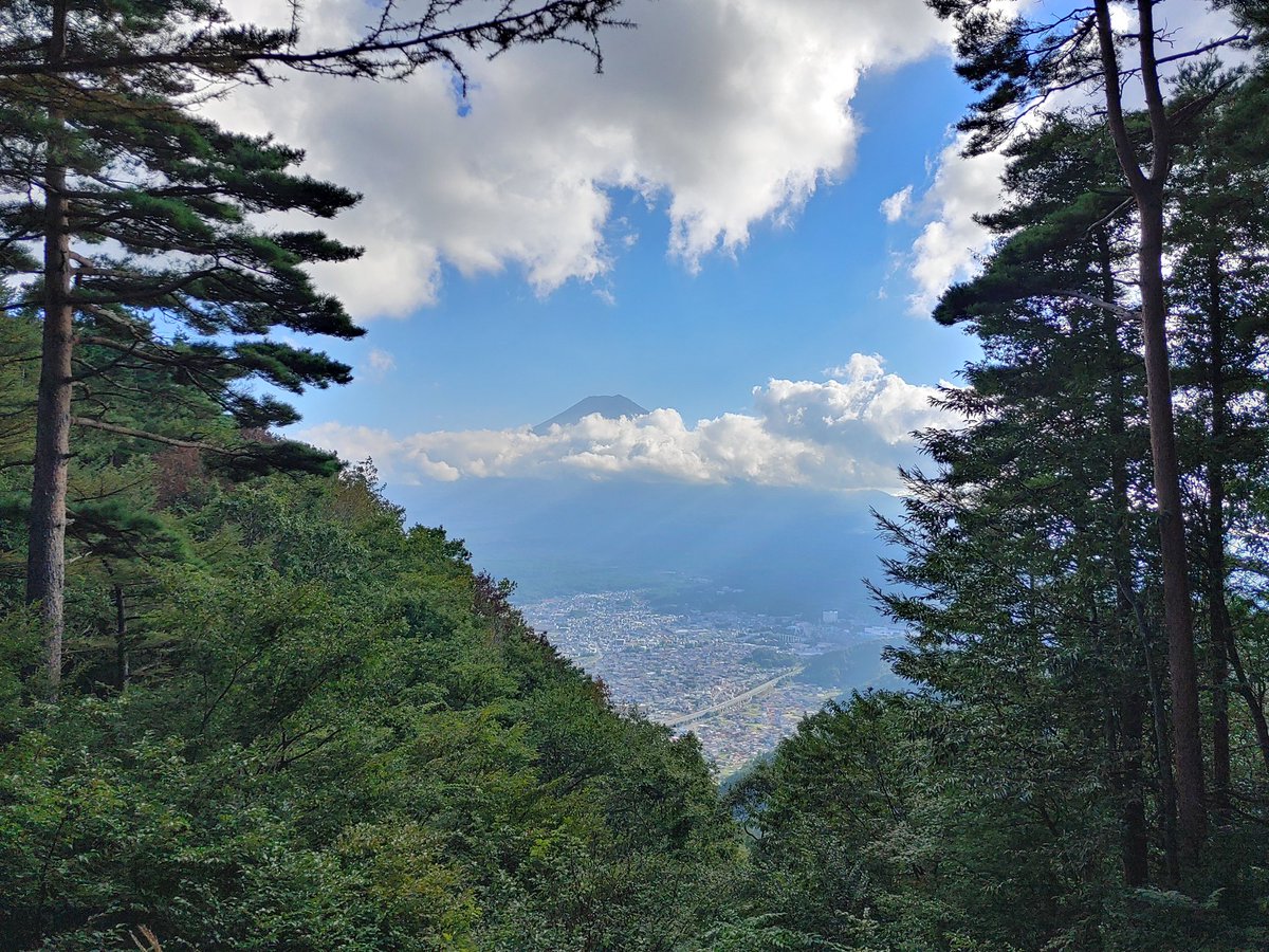 Fisky 🇩🇪 Catboy VTuber🌈🐾 tweet media