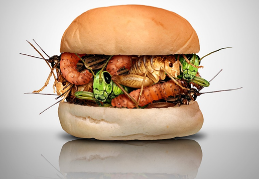JuanPascual4's tweet photo. Comer insectos:
1/ Las noticias avanzan la llegada de la gran panacea q resolverá los problemas de alimentación del mundo: Los insectos
Recientemente, su uso ha sido aprobado x la UE.
Pero, son de verdad algo disruptivo? Tantas ventajas presentan? Veámoslo. Abro hilo:👇👇👇 https://t.co/Tqg8QSiaDe