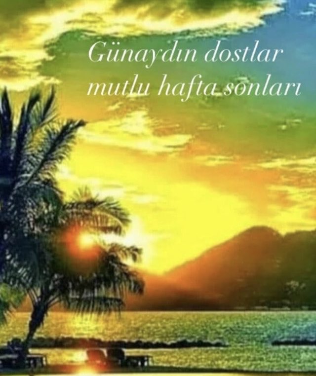 Ali Sevimlisoy (@sevimlisoyali) on Twitter photo 