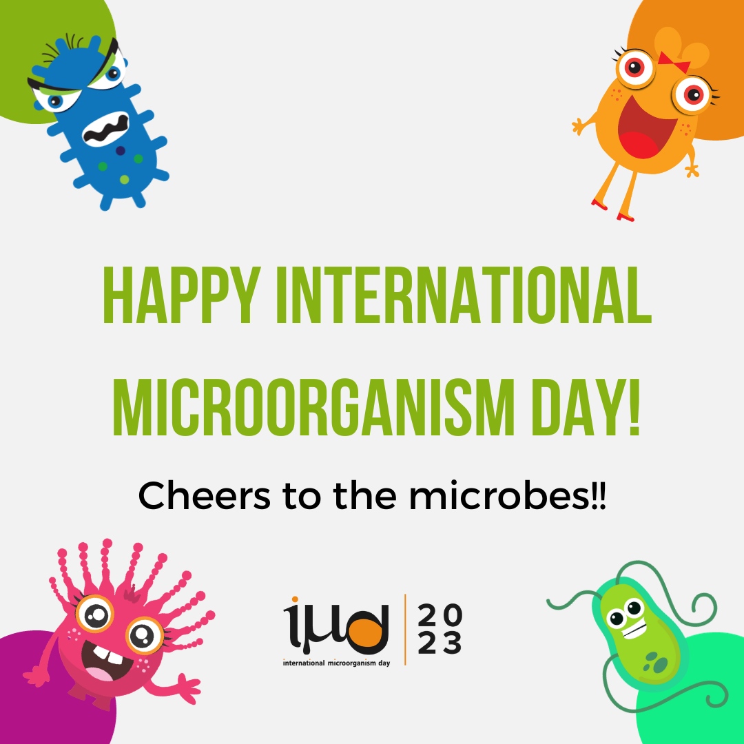 Happy #InternationalMicroorganismDay! Make sure to share your celebrations using our hashtag :) On this date in 1683, Antonie van Leeuwenhoek sent a letter to the @RoyalSociety with the first description of a single-celled organism. Find out more: internationalmicroorganismday.org/whoarewe