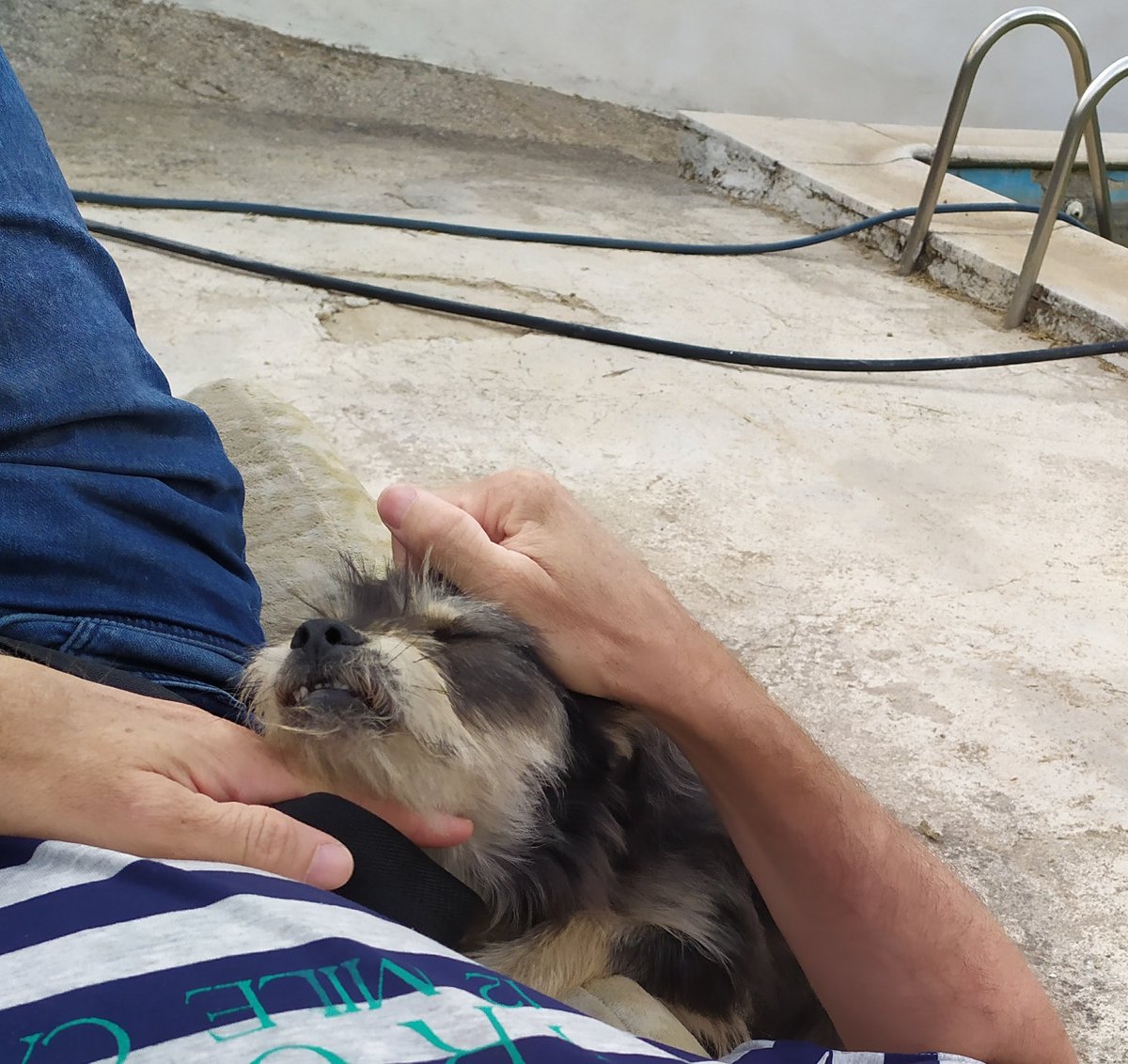 Escalin 🇪🇸 tweet media