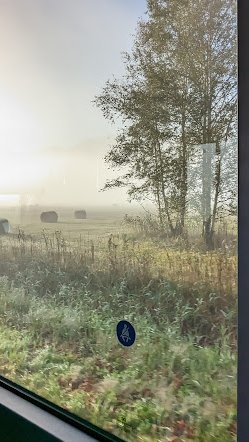 LizCollet's tweet photo. Herbstlich(t)es vom gestrigen Morgen auf dem Weg zum  Werkelvormittag mit einem meiner Lieblingschauffeure des 9611er. WENN der Bus fährt, ist und war's immer schön in den letzten 5 Jahren. WENN. 

#Countdown13 #MeinBlauesLand #MeinPfaffenwinkel #MobilitätswendeSuiGeneris https://t.co/W0ZlS3enVm