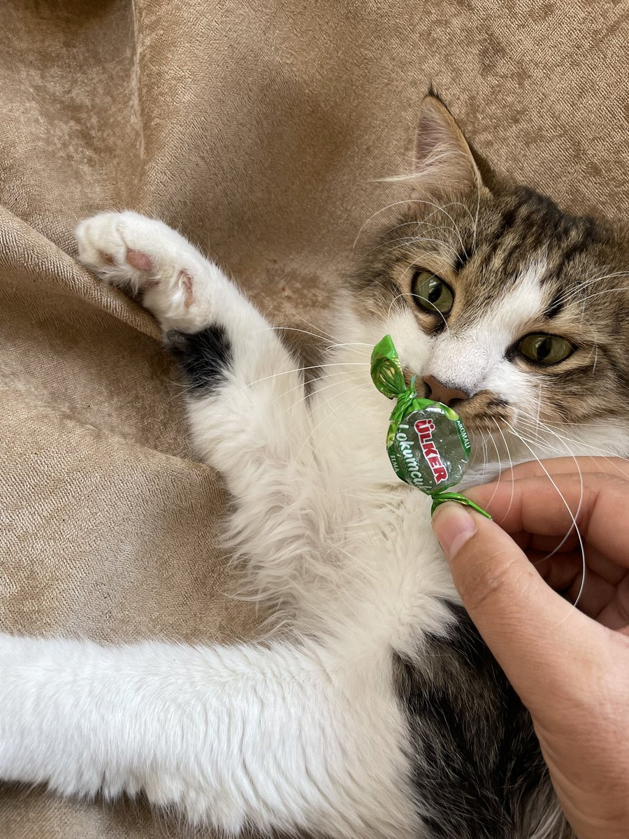 Badem e hiç destek gelmedi bugün ilacı alamazsak dozu vurulmayacak ve son 4 gün kaldı Allah rızası için merhamet edin biz tükendik 10 kişi yok mu 100 lira destek verecek tedavimiz yarım mı kalacak 😭😭 lütfen paylaşabilir misiniz nolur belkı yardım edecek birileri çıkar 🙏