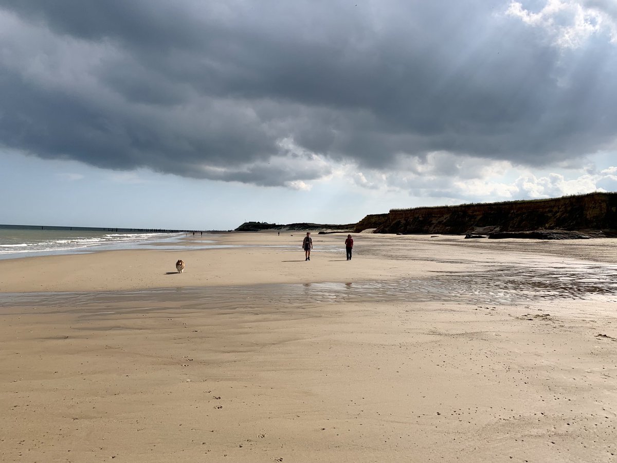 Dr Alastair Curry tweet media