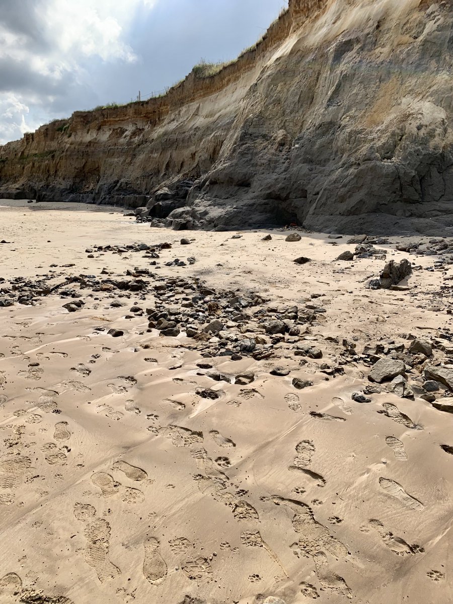 Dr Alastair Curry (@dralastaircurry) on Twitter photo Amazing feeling to walk on the beach at #Happisburgh where humans first walked over 850,000 years ago - oldest human footprints outside Africa were found here #Footprints #Quaternary <a href="/NN_DeepHistory/">Deep History Coast</a> <a href="/NHM_London/">Natural History Museum</a> Amazing feeling to walk on the beach at #Happisburgh where humans first walked over 850,000 years ago - oldest human footprints outside Africa were found here #Footprints #Quaternary <a href="/NN_DeepHistory/">Deep History Coast</a> <a href="/NHM_London/">Natural History Museum</a>