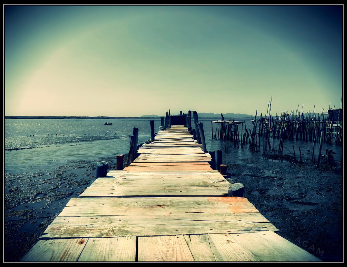 “Camino de pescadores, arquitectura popular I, Portugal 23” #alfonsogamerogamero 

#portugallovers #portugaltravel #setubal #comporta #carrasqueiracomporta #carrasqueira #carrasqueiramaldita #carrasqueirasunset #road #fisherfamily #fishermen #cañas #photoarte #lisbon