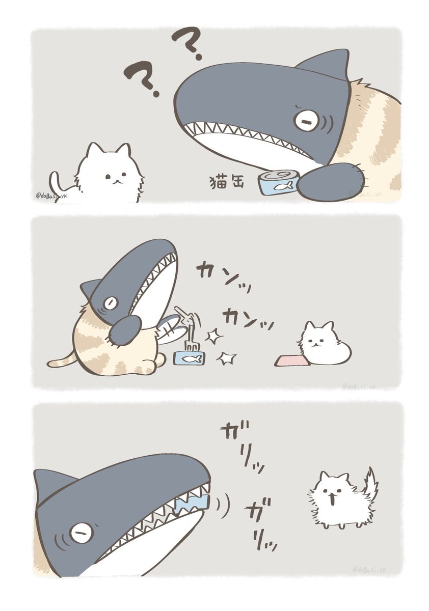 ちょっと成長した子猫(2/3)