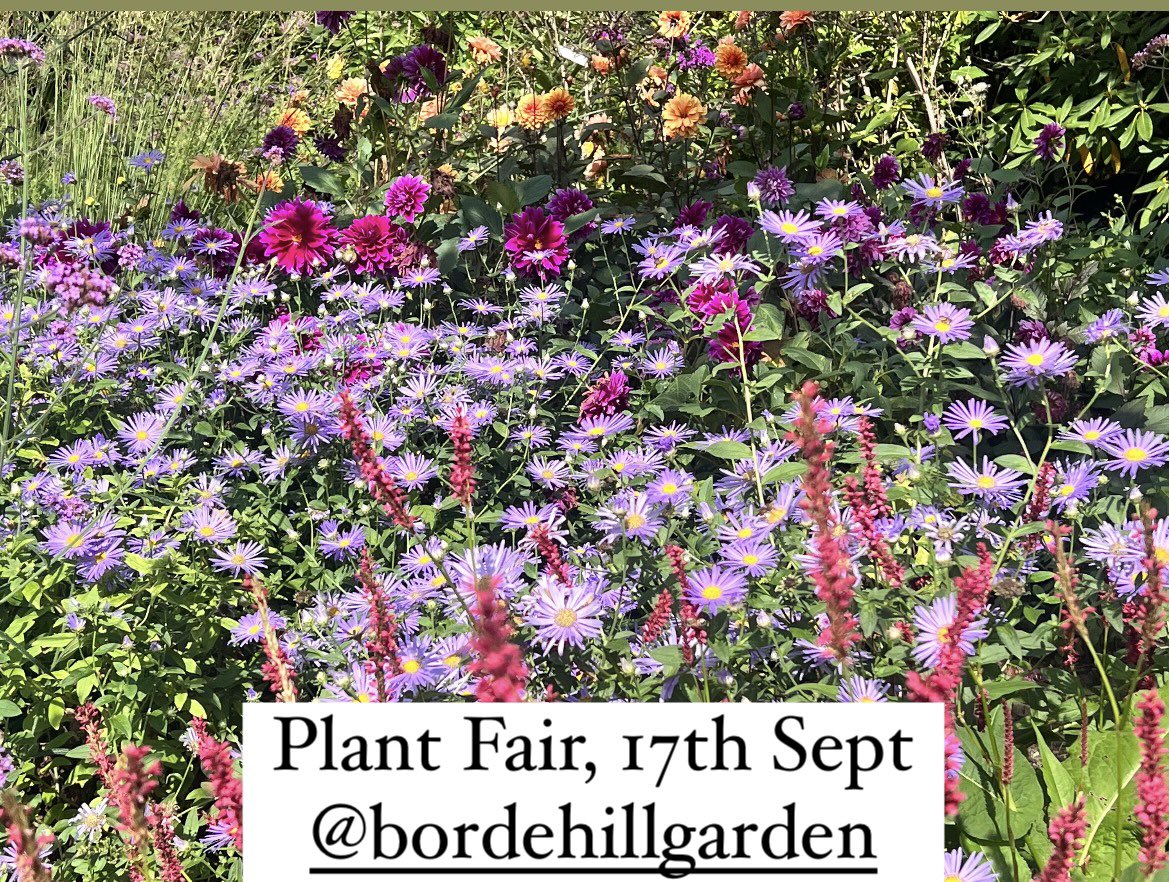 Don’t miss the Plant Fair @bordehillgarden today. Ideal time to choose unsual plants direct from the nurseries. 

#plantfairs  #nurseries #buyplants #bordehillgarden #hardyplants #pelhamplants