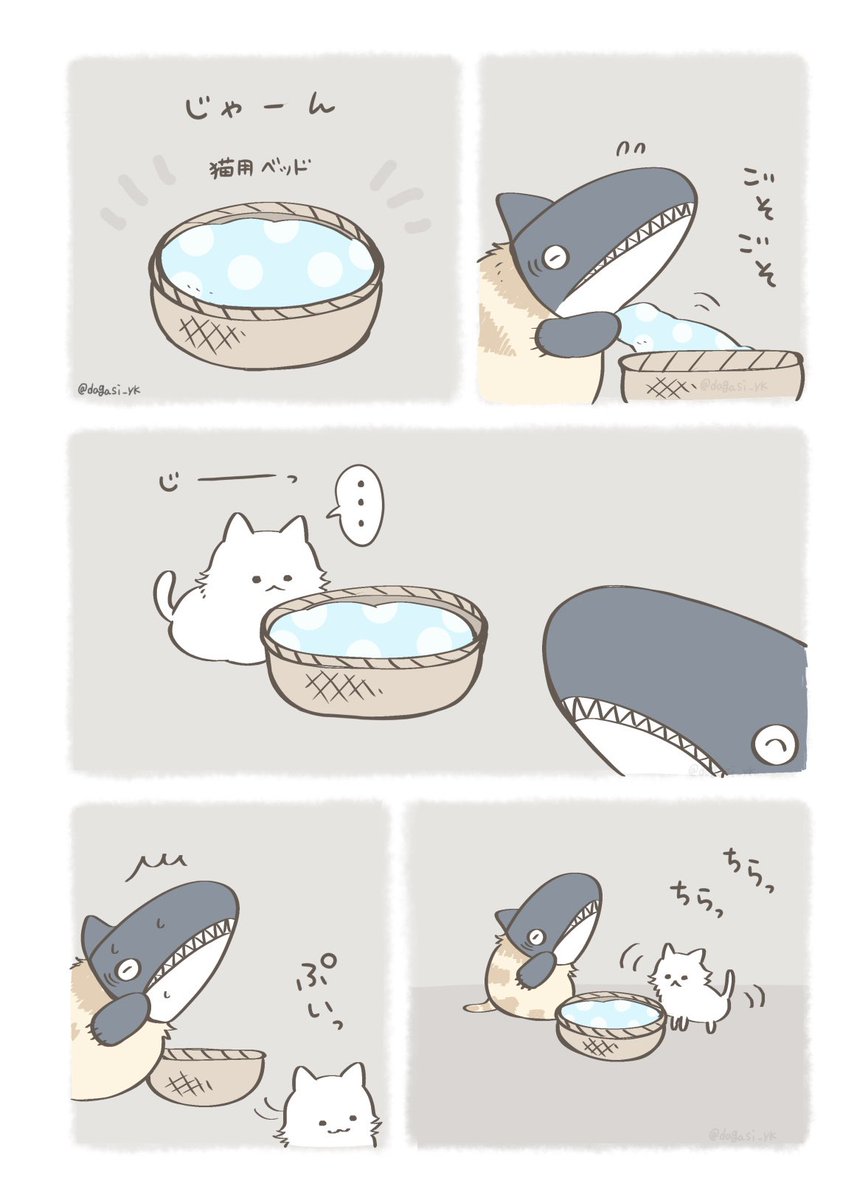 ちょっと成長した子猫(3/3)