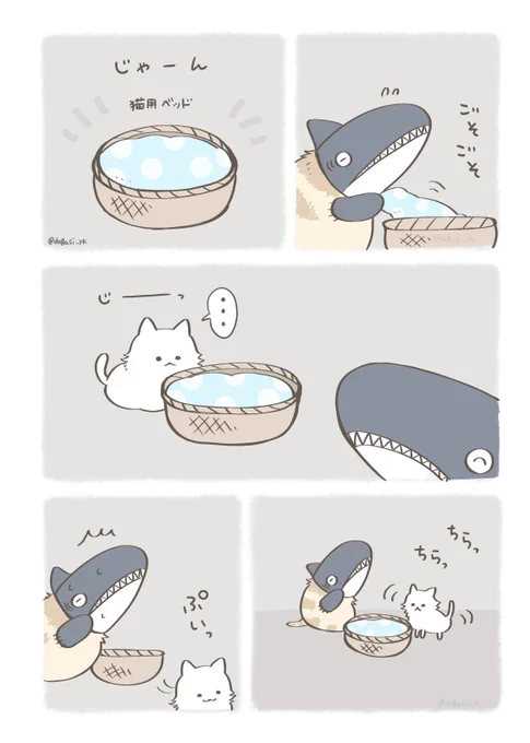 ちょっと成長した子猫(3/3)