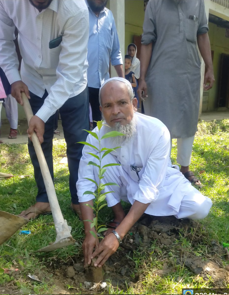 Manarul1985's tweet photo. MADANI NAGAR HIGH SCHOOL today actively participated in the 'AMRIT BRIKSHYA ANDOLAN' as one of the organisers held in the MADANI NAGAR HIGH SCHOOL. We are proud to be a part of this noble initiative of Government of Assam.
 #amritbrikshaandolan https://t.co/qeMWN4wiQ2