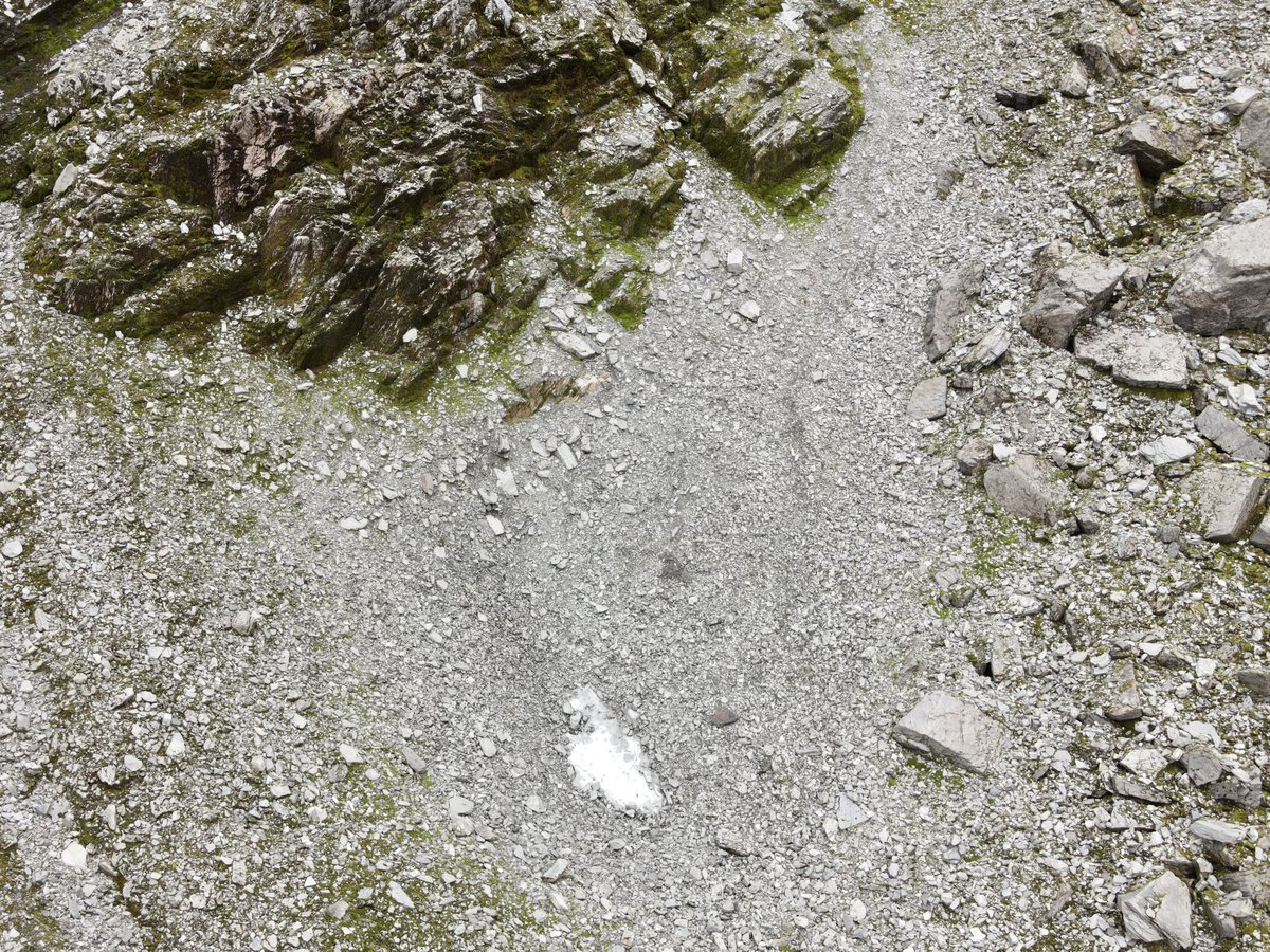 Iain Cameron tweet media