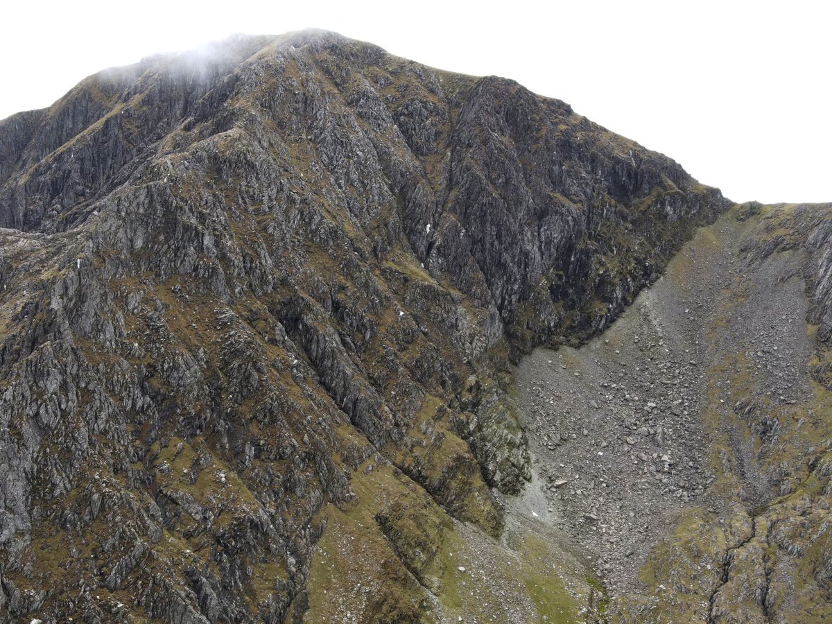 Iain Cameron tweet media