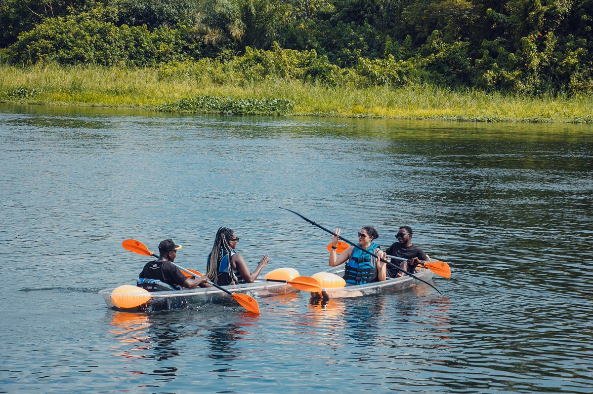 Cultural performances, boat cruises, kayak tours &amp; more

A new experience has arrived 💫