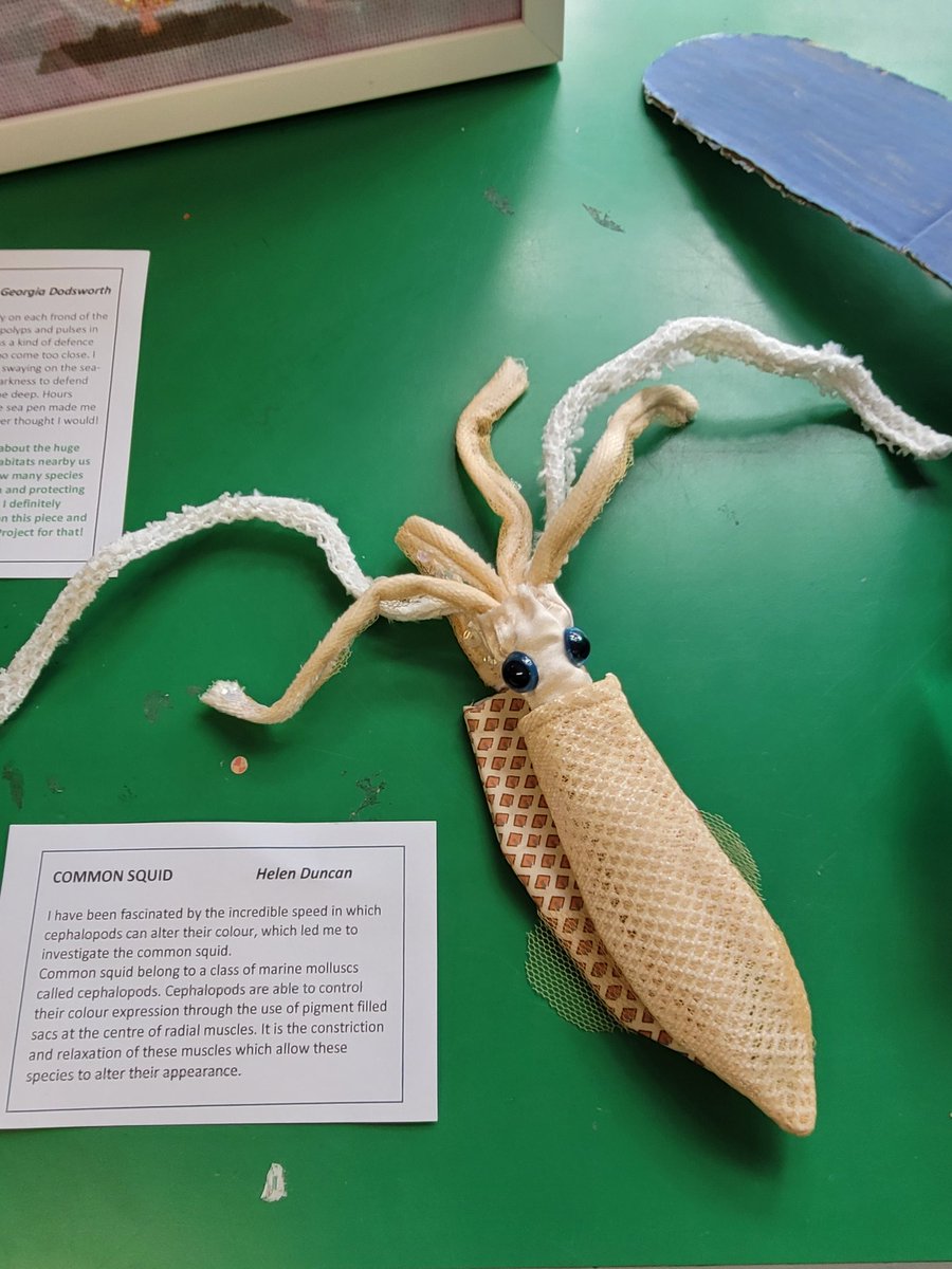wardiebaybeach's tweet photo. There are some stunning creations on display by local makers who rose to the @EdinburghShore call to celebrate each of the 100 species of the Firth of Forth. The #RestorationForth project is an incredible effort to restore such precious species &amp; habitats. #seagrass #nativeoyster https://t.co/YHSEaSY7tk