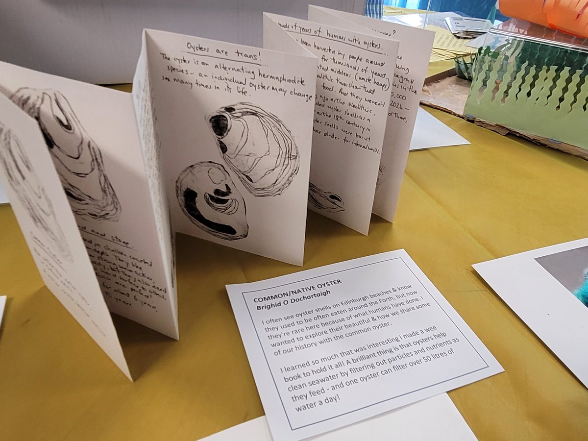 There are some stunning creations on display by local makers who rose to the @EdinburghShore call to celebrate each of the 100 species of the Firth of Forth. The #RestorationForth project is an incredible effort to restore such precious species & habitats. #seagrass #nativeoyster