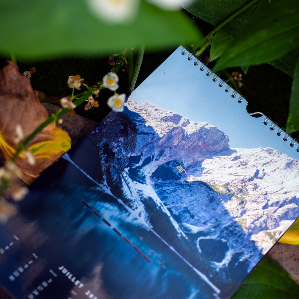 IloePhoto's tweet photo. Le calendrier 2024 sera en vente jusqu'au 30 novembre seulement !
Il mesure 20x30cm (format vertical) et comporte 13 photos inédites.
38€ frais de port inclus. https://t.co/VEcFQCvZxX