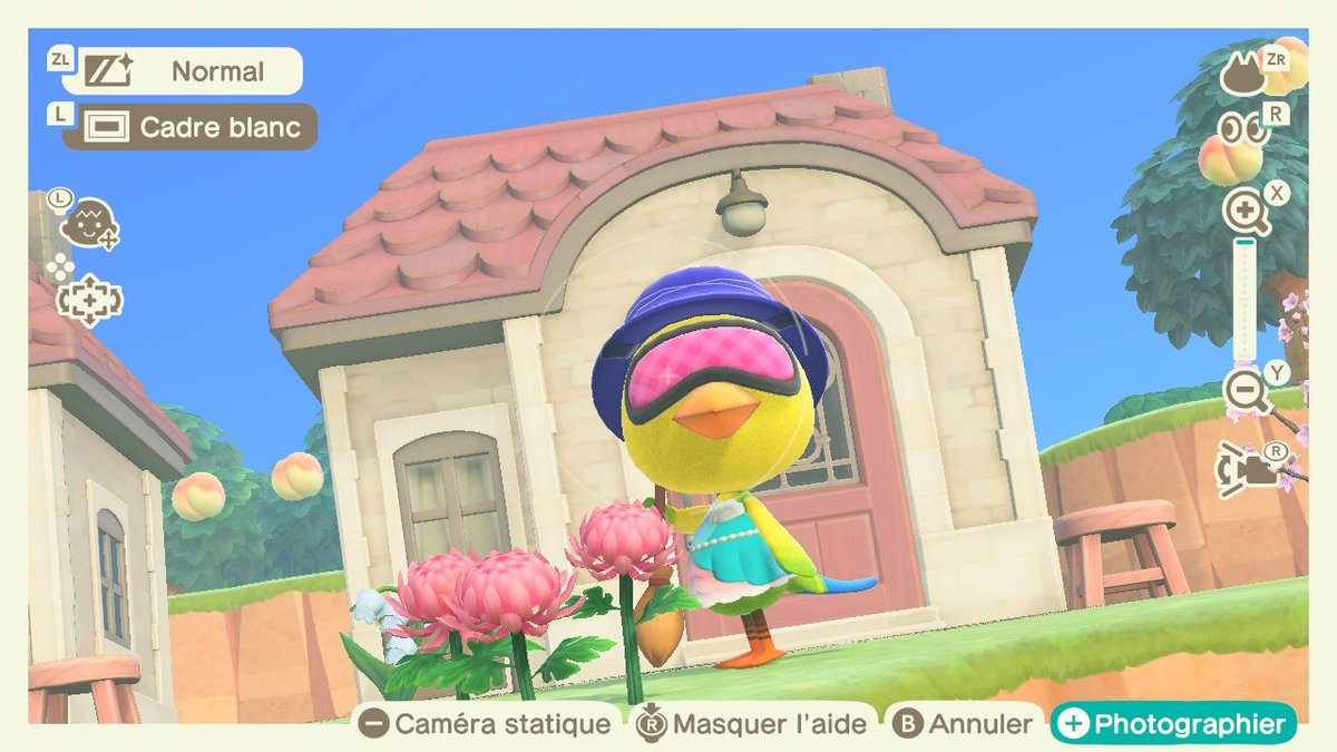ZeKiwiZ's tweet photo. Coucou X !
Comment s'est passée votre rentrée ?
Pour l'occasion, Titi a sorti son plus bel outfit. lol

 #AnimalCrossing #ACNH #NintendoSwitch https://t.co/gWtgmOBn9B