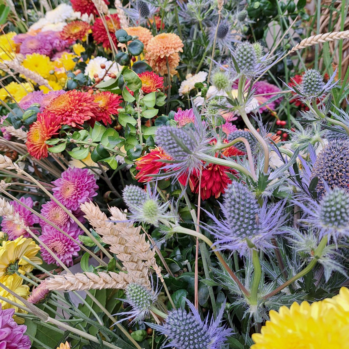 🍂Welcome to the final day of the Autumn Flower Show, here at Newby Hall. 🌻🍁

And, what better way to spend a fine autumnal Sunday, than by joining us for another action-packed day.

Tickets can be bought online at bit.ly/3Mq0zR3 or at the gate*.

*card payment only