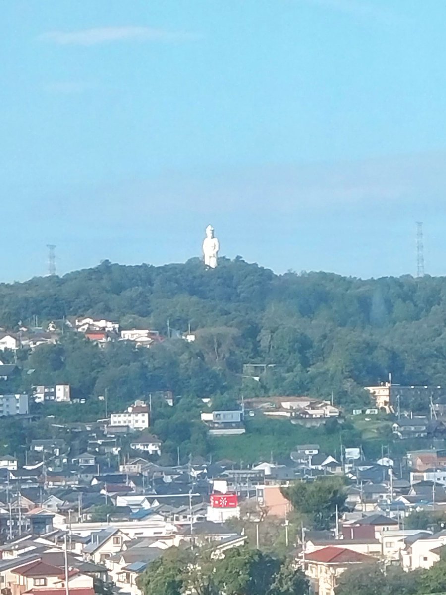 cute cats tweet media